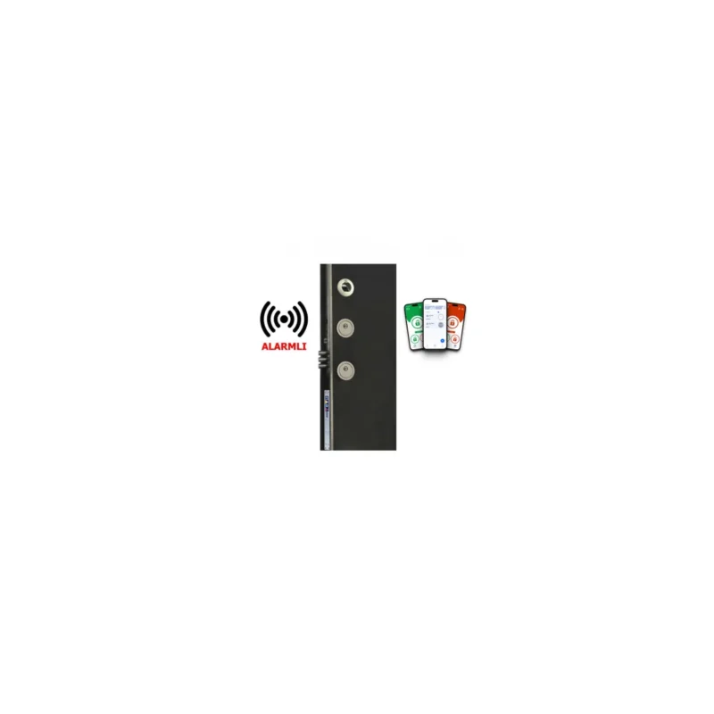 DESi PiKS FC100 PE V2